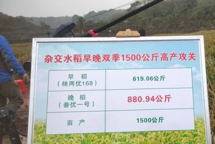 袁隆平新高度！第三代雜交水稻成功沖關(guān)！